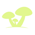 Antihongos