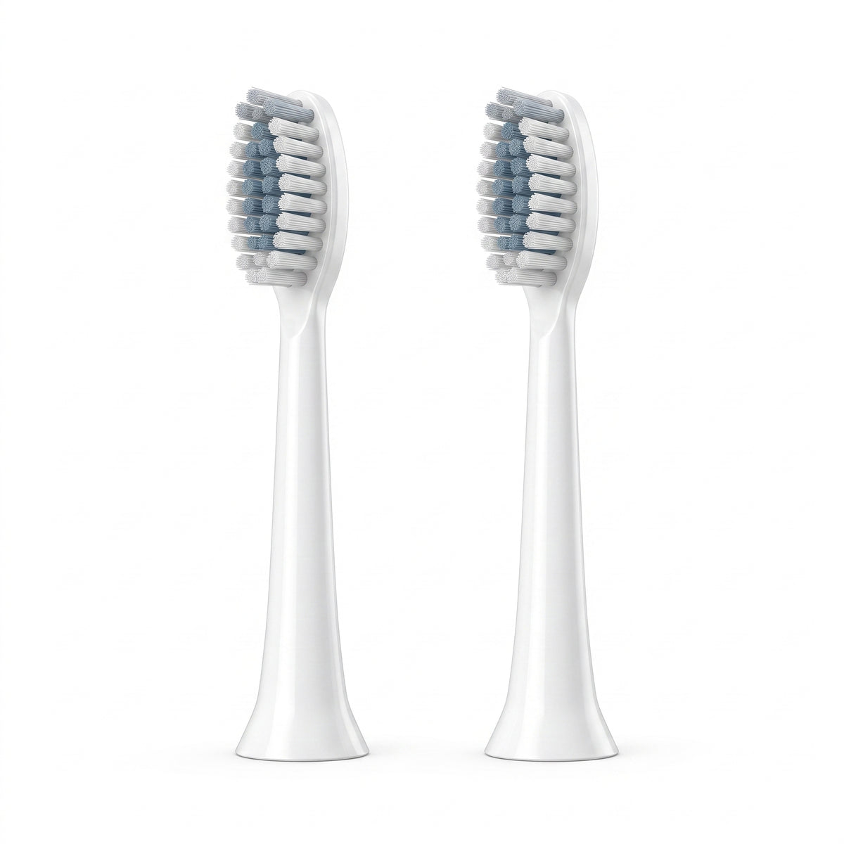 Brossettes de Rechange